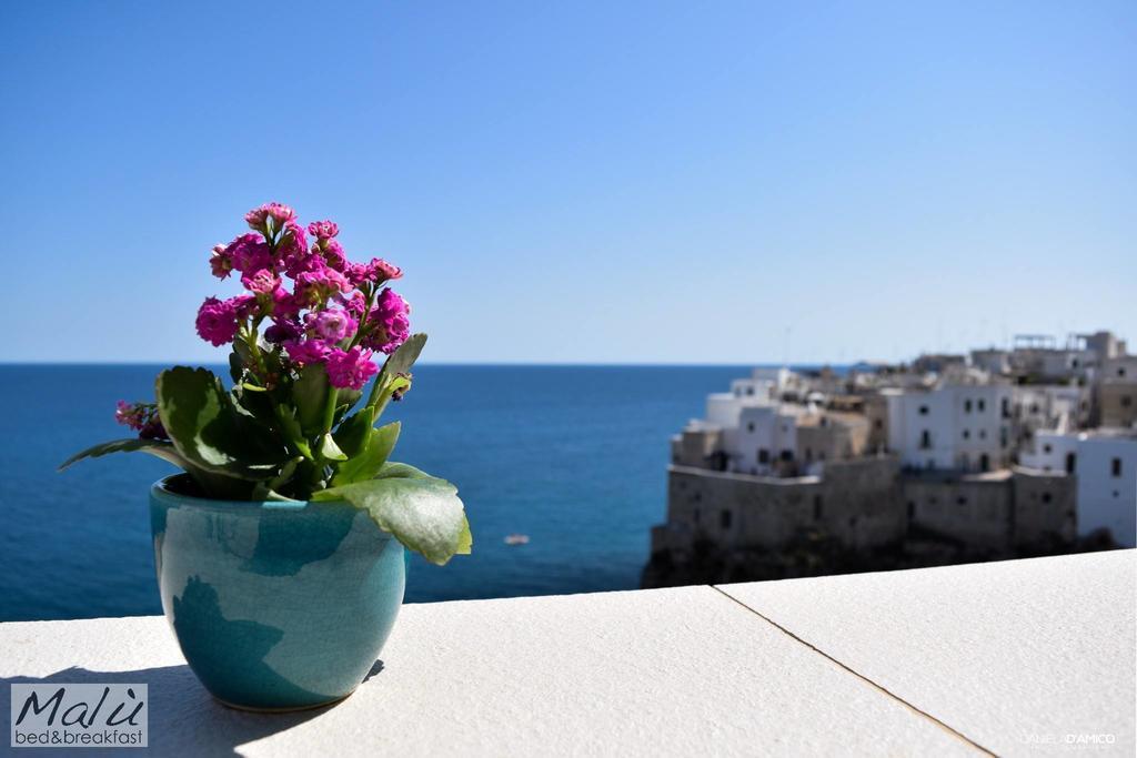 Bed and breakfast Malu Polignano a Mare